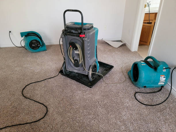 Best Sewage cleanup and water damage restoration  in Laupahoehoe, HI