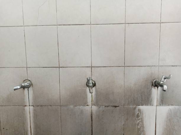 Trusted Laupahoehoe, HI Water damage restoration Experts